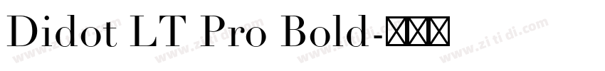 Didot LT Pro Bold字体转换